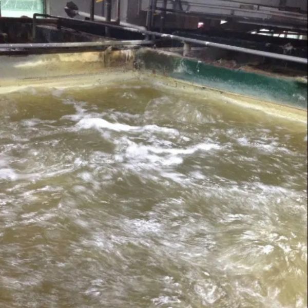深圳某工廠廢水改造工程